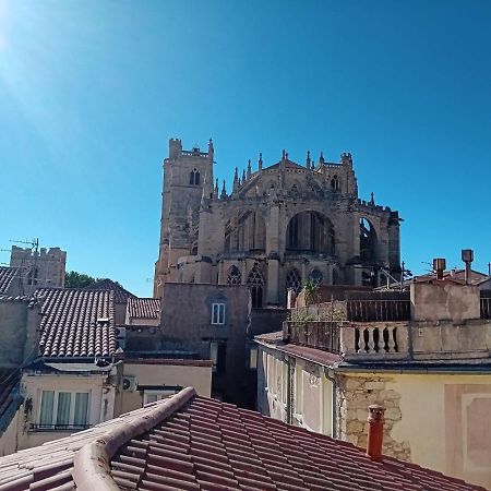 Studio Terrasse Vue Cathedrale Narbonne Eksteriør bilde